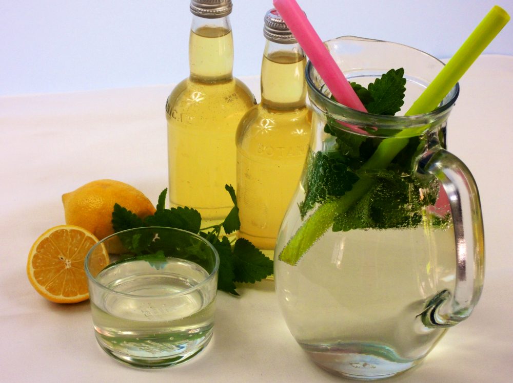 Meduňkový sirup